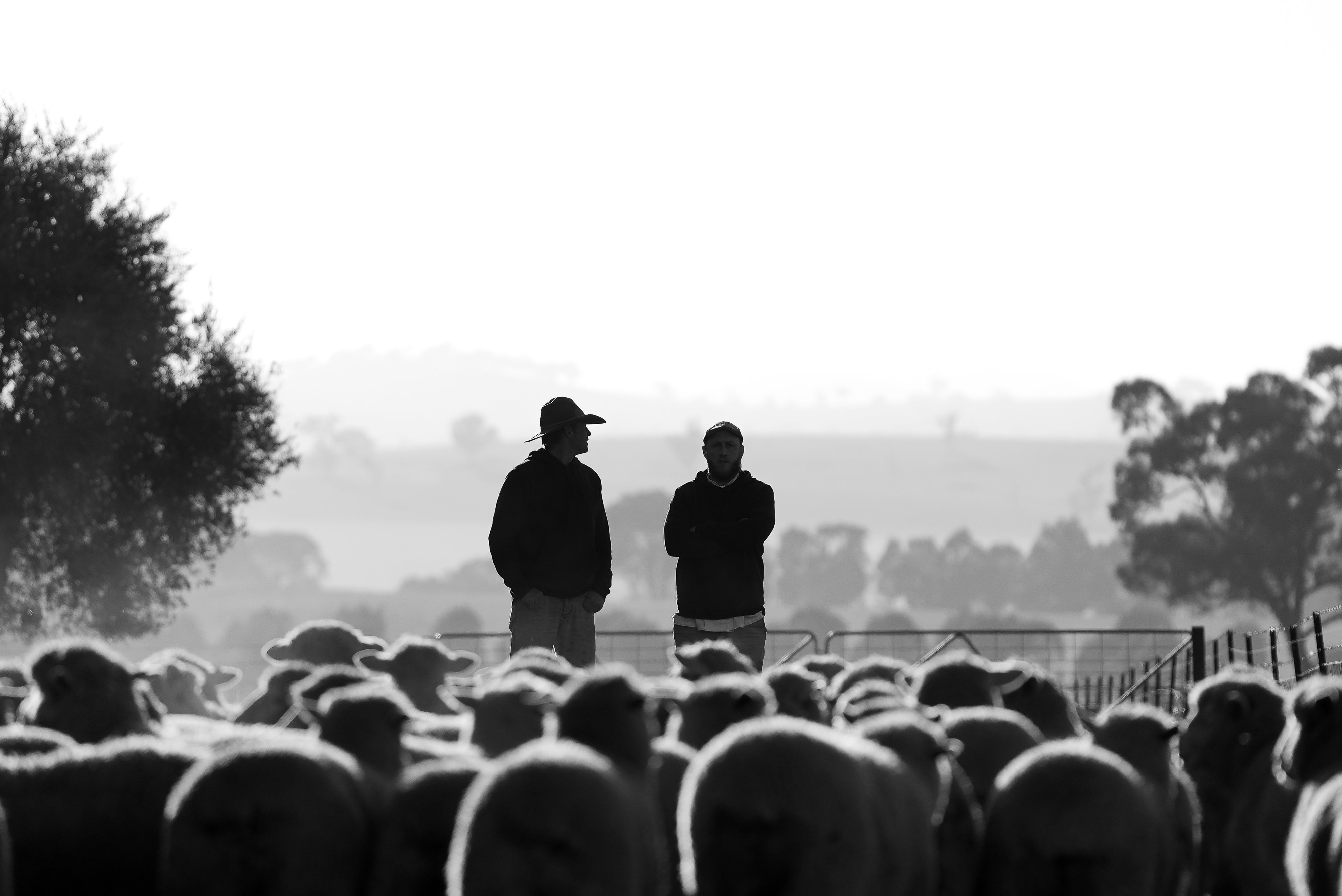 Canowindra Butchery 